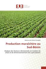 Production maraîchère au Sud-Bénin