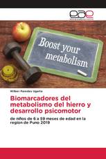 Biomarcadores del metabolismo del hierro y desarrollo psicomotor