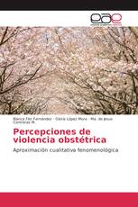 Percepciones de violencia obstétrica