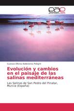 Evolución y cambios en el paisaje de las salinas mediterráneas