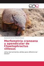 Morfometría craneana y apendicular de Chaetophractus villosus