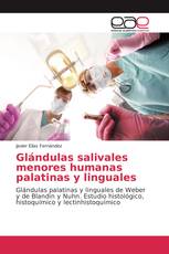 Glándulas salivales menores humanas palatinas y linguales