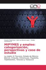 MIPYMES y empleo: categorización, perspectivas y caso de estudio