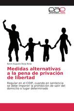 Medidas alternativas a la pena de privación de libertad