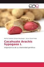 Cacahuate Arachis hypogaea L