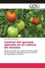 Control del gusano ejército en el cultivo de tomate