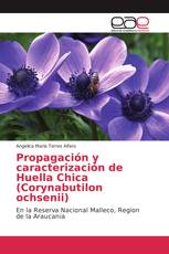 Propagación y caracterización de Huella Chica (Corynabutilon ochsenii)