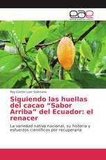 Siguiendo las huellas del cacao “Sabor Arriba” del Ecuador: el renacer