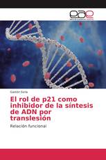 El rol de p21 como inhibidor de la síntesis de ADN por translesión