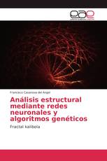 Análisis estructural mediante redes neuronales y algoritmos genéticos
