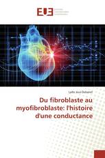 Du fibroblaste au myofibroblaste: l'histoire d'une conductance