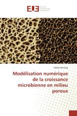 Modélisation numérique de la croissance microbienne en milieu poreux