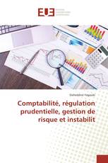 Comptabilité, régulation prudentielle, gestion de risque et instabilit