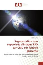 Segmentation non supervisée d'images RSO par CMC sur fenêtre glissante
