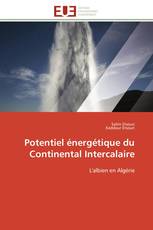 Potentiel énergétique du Continental Intercalaire