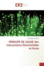 PRINCIPE DE JAUGE des Interactions Électrofaible et Forte