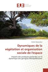 Dynamiques de la végétation et organisation sociale de l'espace