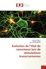 Evolution de l’état de conscience lors de stimulations transcraniennes