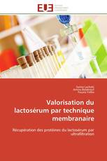 Valorisation du lactosérum par technique membranaire