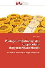 Pilotage institutionnel des coopérations interorganisationnelles
