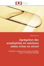 Agrégation des amphiphiles en solutions salées riches en alcool