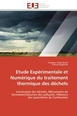 Etude Expérimentale et Numérique du traitement thermique des déchets