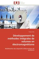 Développement de méthodes intégrales de volumes en électromagnétisme