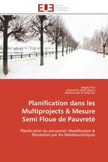 Planification dans les  Multiprojects & Mesure Semi Floue de Pauvreté