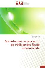 Optimisation du processus de tréfilage des fils de précontrainte