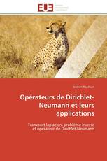 Opérateurs de Dirichlet-Neumann et leurs applications