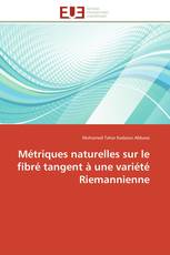 Métriques naturelles sur le fibré tangent à une variété Riemannienne