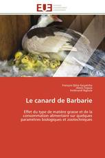 Le canard de Barbarie