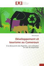 Développement et tourisme au Cameroun