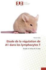 Etude de la régulation de A1 dans les lymphocytes T