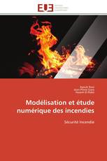 Modélisation et étude numérique des incendies
