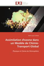 Assimilation d'ozone dans un Modèle de Chimie-Transport Global
