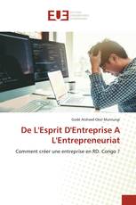 De L'Esprit D'Entreprise A L'Entrepreneuriat