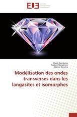 Modélisation des ondes transverses dans les langasites et isomorphes