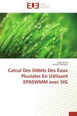 Calcul  Des Débits Des Eaux Pluviales En Utilisant EPASWMM avec SIG