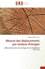 Mesure des déplacements par analyse d'images