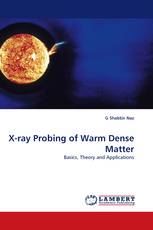 X-ray Probing of Warm Dense Matter