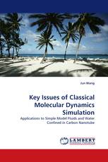 Key Issues of Classical Molecular Dynamics Simulation