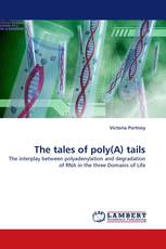 The tales of poly(A) tails