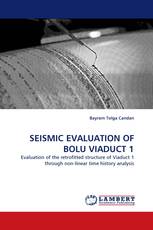 SEISMIC EVALUATION OF BOLU VIADUCT 1