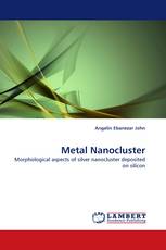 Metal Nanocluster