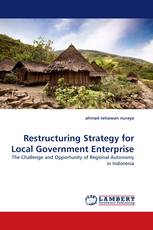 Restructuring Strategy for Local Government Enterprise