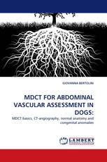 MDCT FOR ABDOMINAL VASCULAR ASSESSMENT IN DOGS: