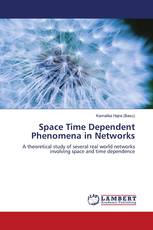 Space Time Dependent Phenomena in Networks