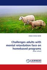 Challenges adults with mental retardation face on homebased programs