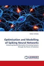 Optimisation and Modelling of Spiking Neural Networks